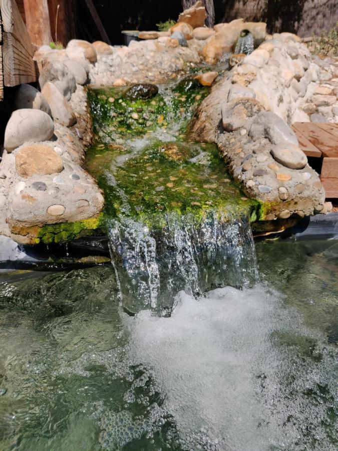 דירות Uchaux L'Etang Des Cigales מראה חיצוני תמונה